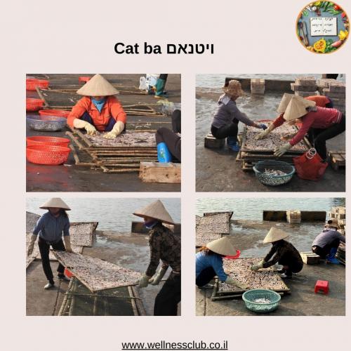 ויטנאם Cat ba