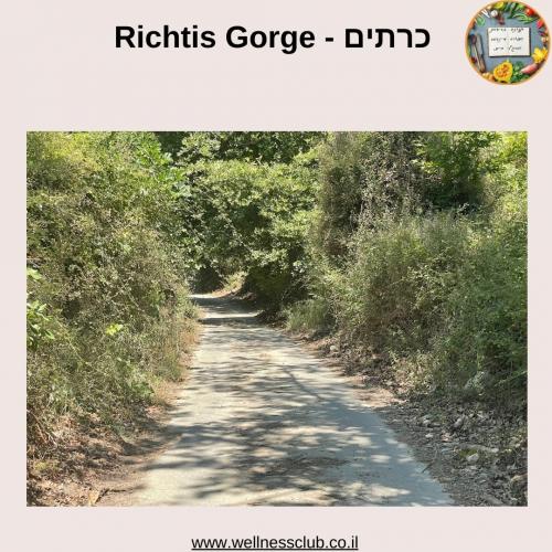 יון, Richtis Gorge - כרתים (15)
